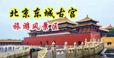 操大逼女人中国北京-东城古宫旅游风景区